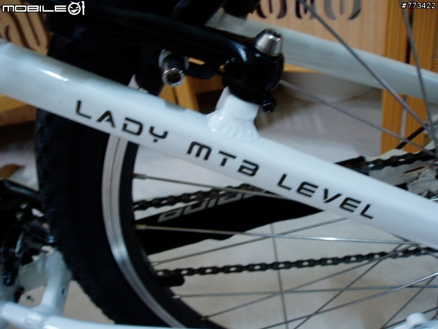 【新手上路/拍照】我的孔明車：520 Lady MTA Level