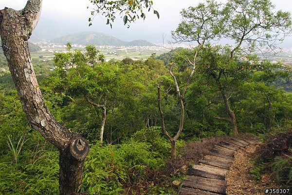 埔里：貓頭山登山步道