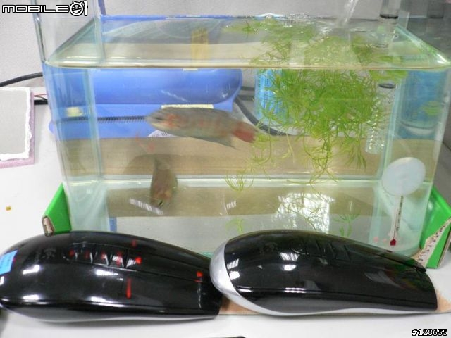 [分享] 羅技MX Air --The First "Real" 3D Mouse