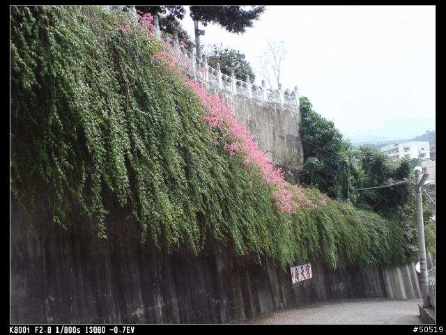 員林百果山_