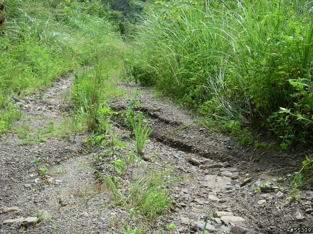 和平部落環繞路線