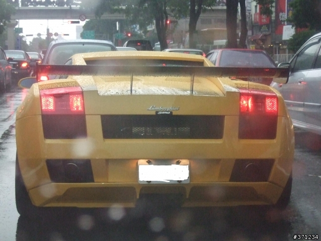 蠻牛現身台中街頭