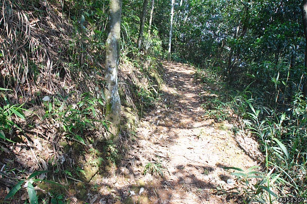 埔里：貓頭山登山步道