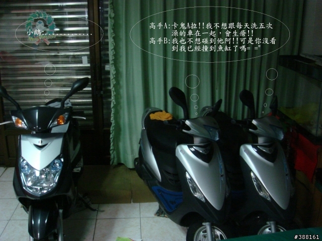 [分享]等了三個禮拜終於到的小老婆-小灰鵝