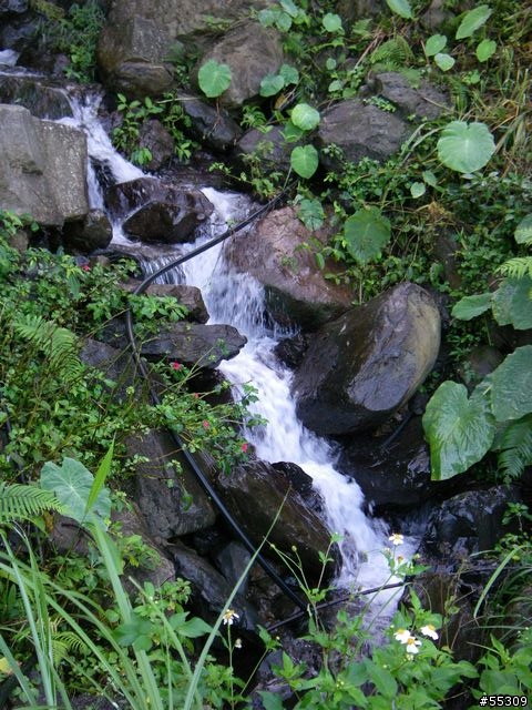 和平部落環繞路線