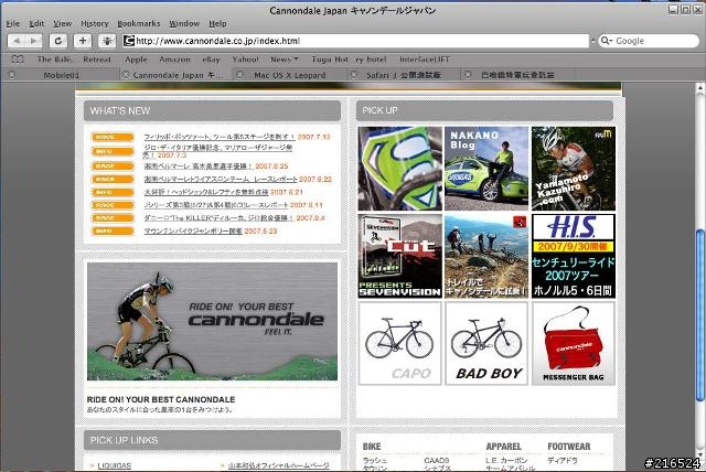 Safari 3公開測試版FOR WINDOWS  中文網頁亂碼問題如何解決呢?  有時亂碼有時正常