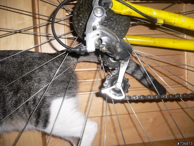 老公路車怎麼整理？