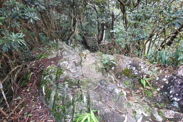 魚池：舊小百岳～水社大山
