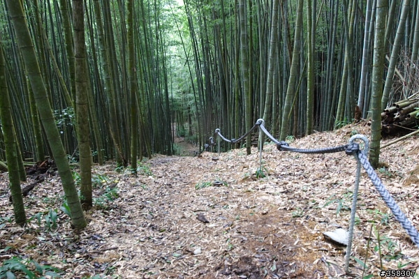 魚池：舊小百岳～水社大山