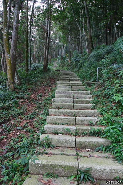 魚池：舊小百岳～水社大山
