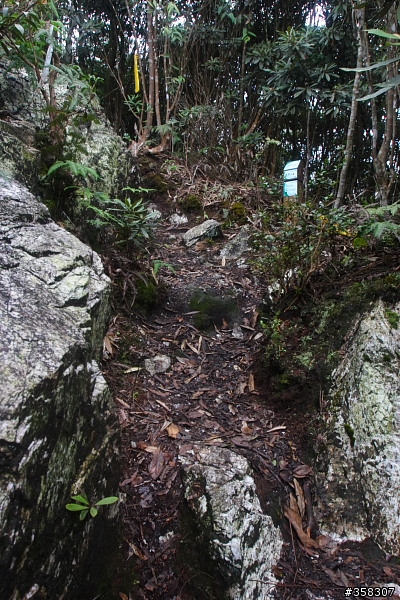 魚池：舊小百岳～水社大山