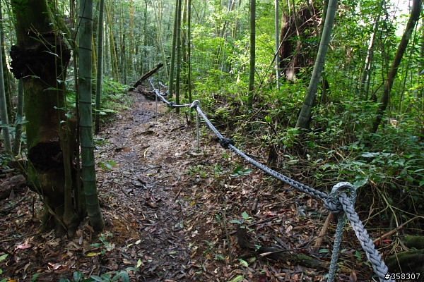魚池：舊小百岳～水社大山