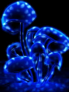 [240x320]動畫桌布分享