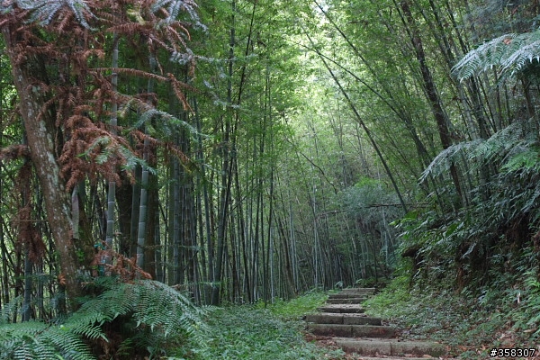 魚池：舊小百岳～水社大山