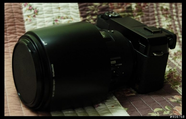Panasonic L-1 与 大眼睛的约会 (150mm f2)