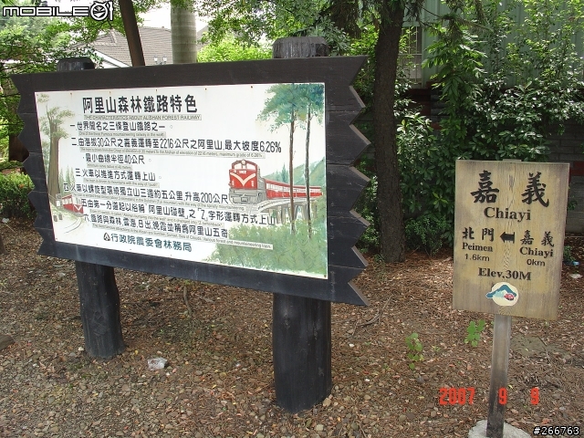 體驗 Shay 蒸汽火車 + 檜木車廂列車