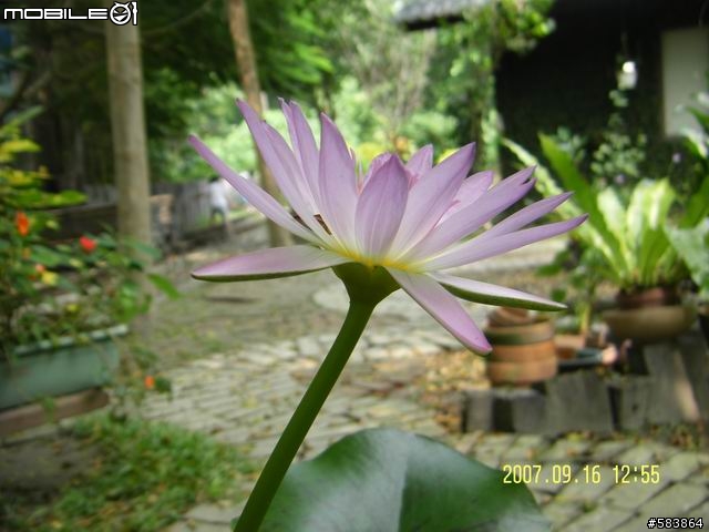 「不專業開箱」Samsung STC-L77B 7.1百萬相素 七倍光學 iso1600