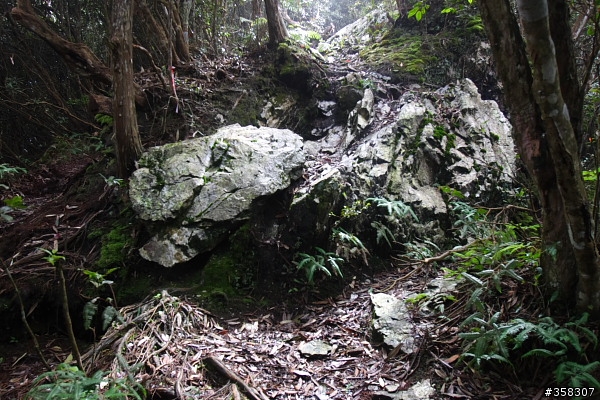 魚池：舊小百岳～水社大山