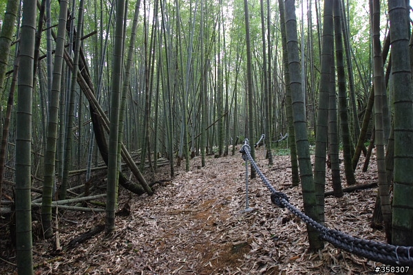 魚池：舊小百岳～水社大山