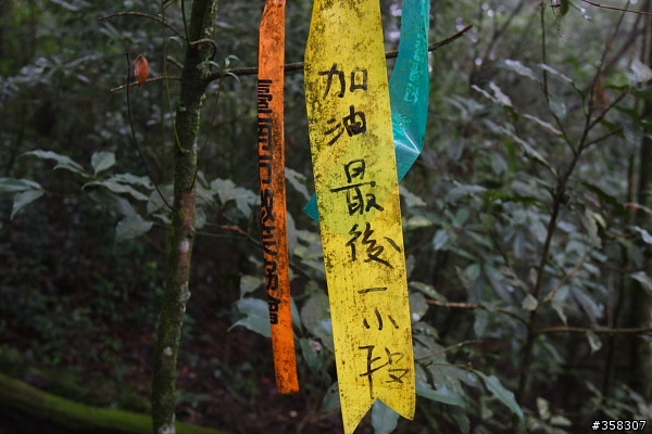 魚池：舊小百岳～水社大山