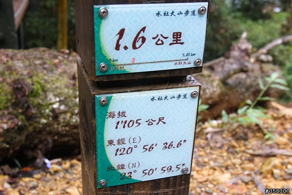 魚池：舊小百岳～水社大山