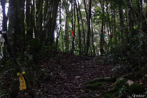 魚池：舊小百岳～水社大山