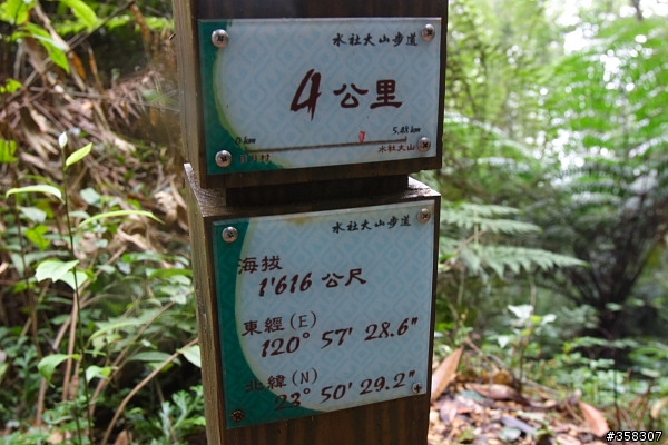魚池：舊小百岳～水社大山