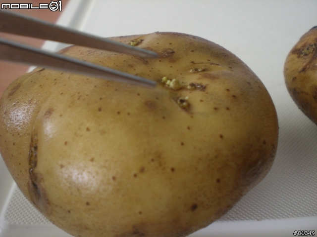 [窮人料理]蒸馬鈴薯拌橄欖油（附圖）