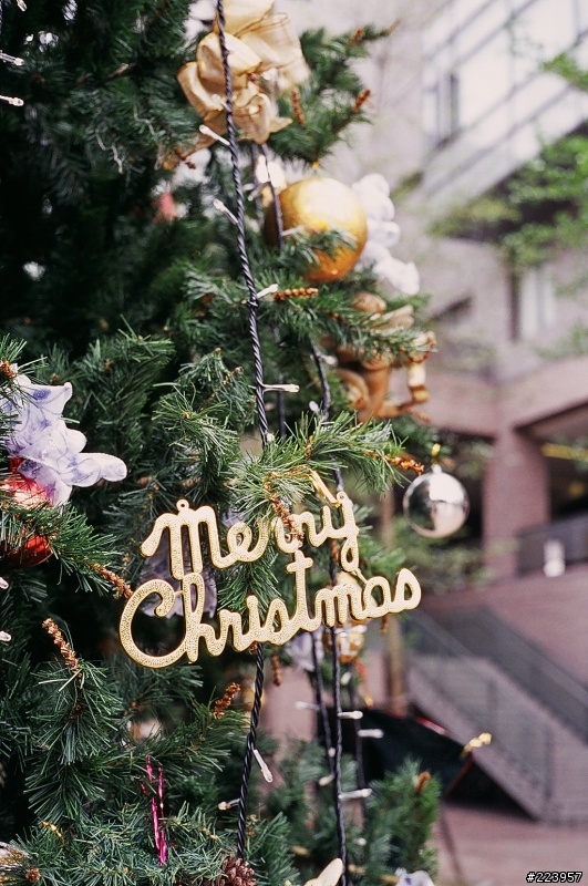 [數位回春]KONICA AUTO S1.6鏡頭改造F接環