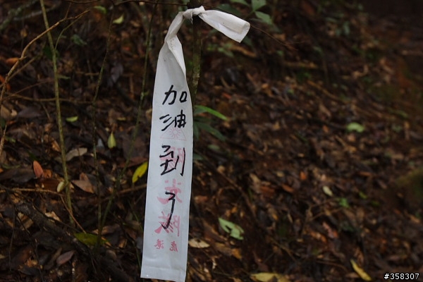 魚池：舊小百岳～水社大山