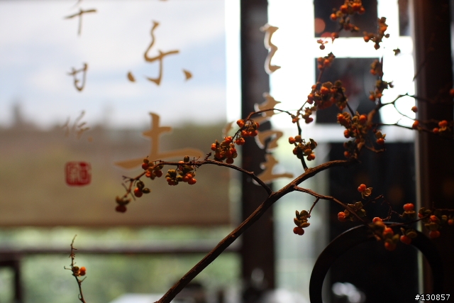 Canon 40D + 35mm F1.4L 隨手拍照片分享...