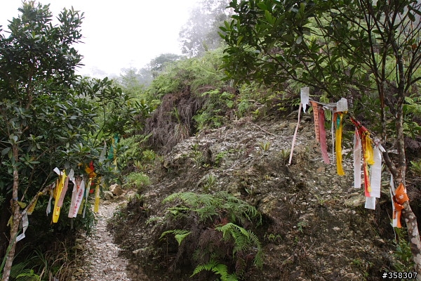 魚池：舊小百岳～水社大山
