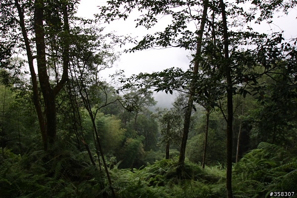 魚池：舊小百岳～水社大山