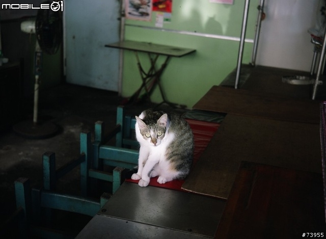 [分享老相機] Zeiss Ikon Super Ikonta A 530 / 12