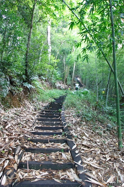 魚池：舊小百岳～水社大山