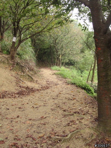 貓空OFF ROAD初體驗