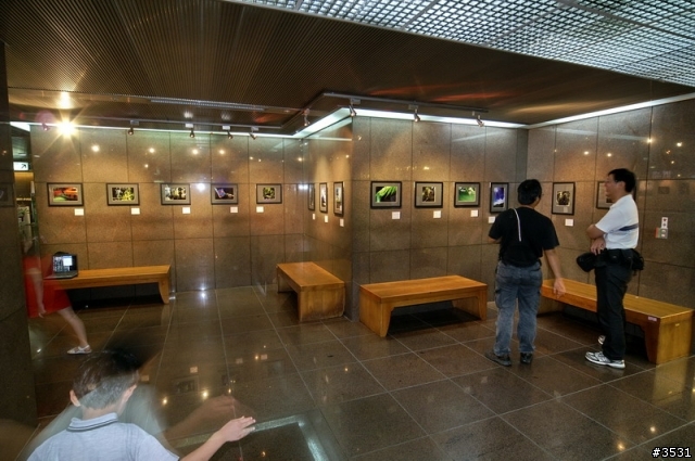 [攝影展觀後感]初攝. 出色-四人攝影聯展