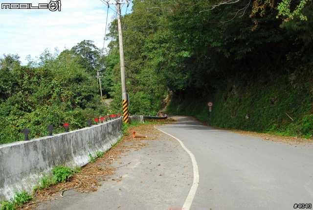 離開都市叢林與柏油路面，來去騎林道吧(三)之大鹿林道主線（往觀霧）單車行