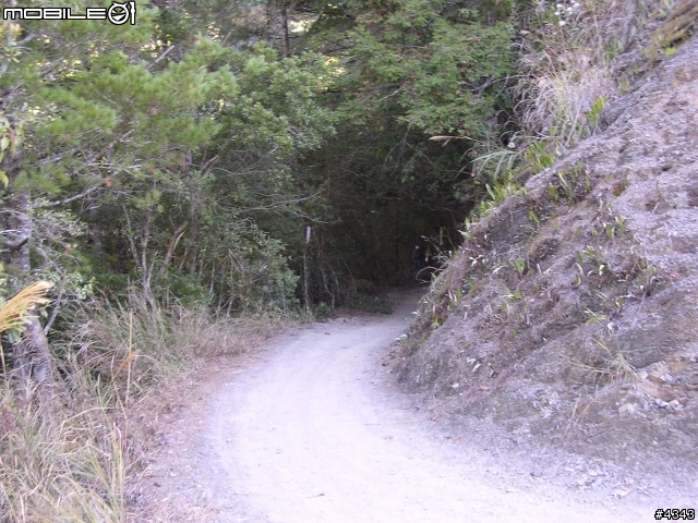 離開都市叢林與柏油路面，來去騎林道吧(二)之霞喀羅古道人文自然單車行
