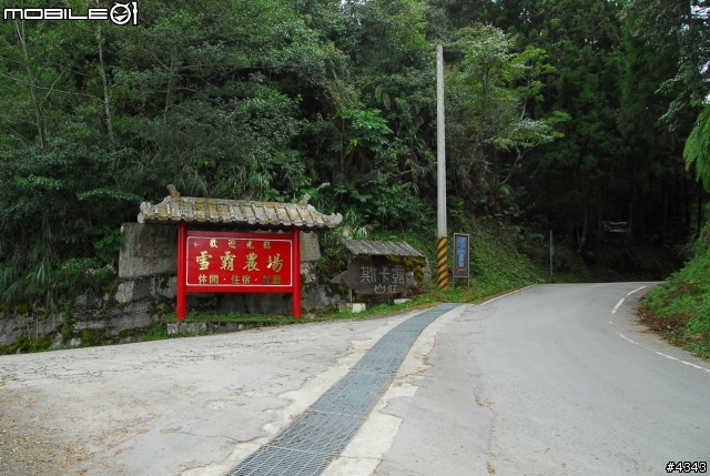離開都市叢林與柏油路面，來去騎林道吧(三)之大鹿林道主線（往觀霧）單車行