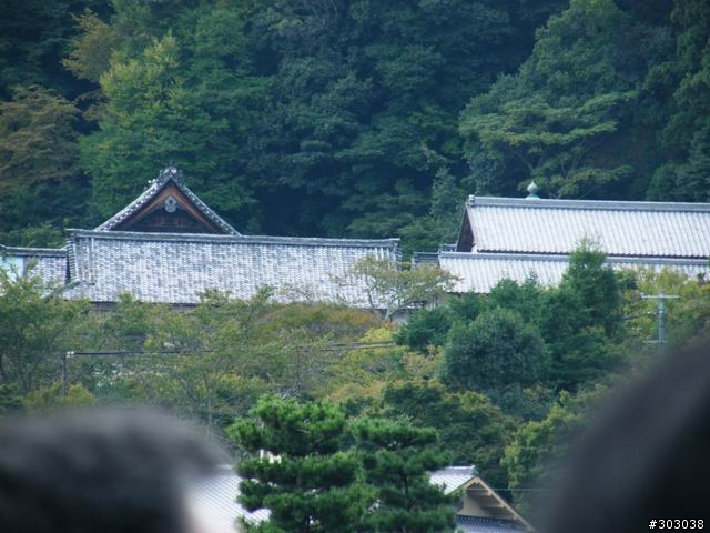 s8000fd 照片分享