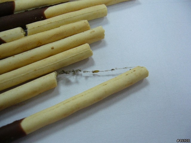 [分享] stick巧克力棒