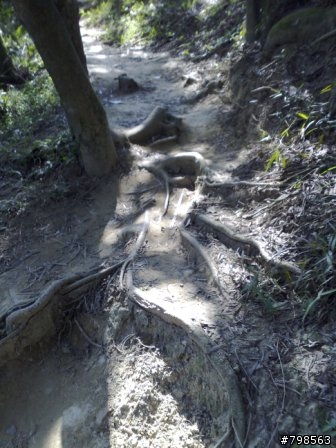 兩人同行烘爐地玩耍記