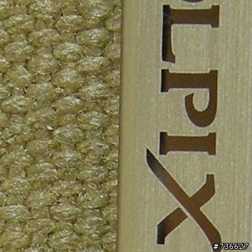 天上掉下來的禮物-Nikon P5100 (10/12增ISO縮原圖、裁切圖)