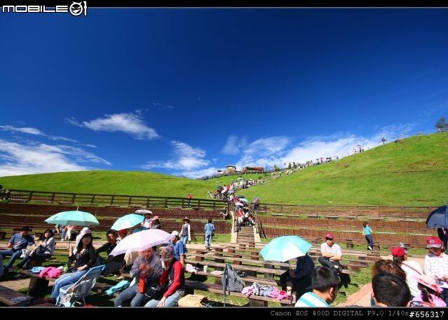 [圖超多]清境農場(青青草原)+民宿旅遊記
