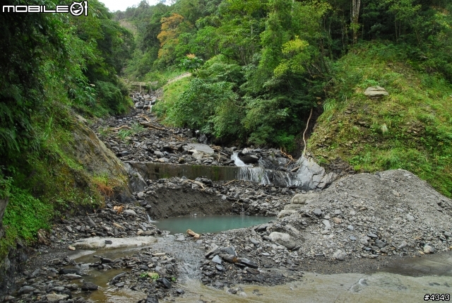 離開都市叢林與柏油路面，來去騎林道吧(三)之大鹿林道主線（往觀霧）單車行