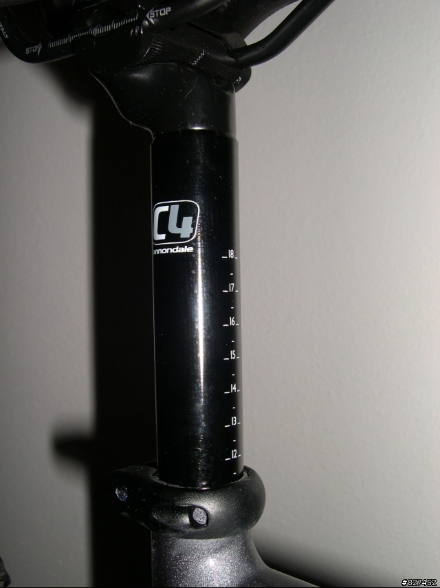 分享: 老婆大人的Cannondale Rush Feminine 3