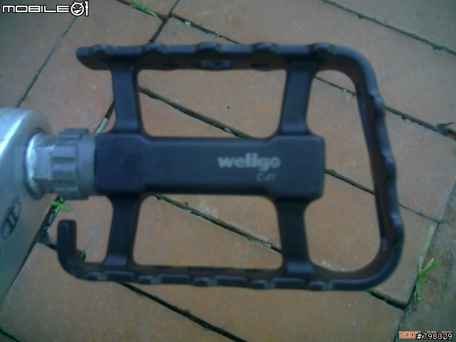 這惱人的異音，竟來自..........