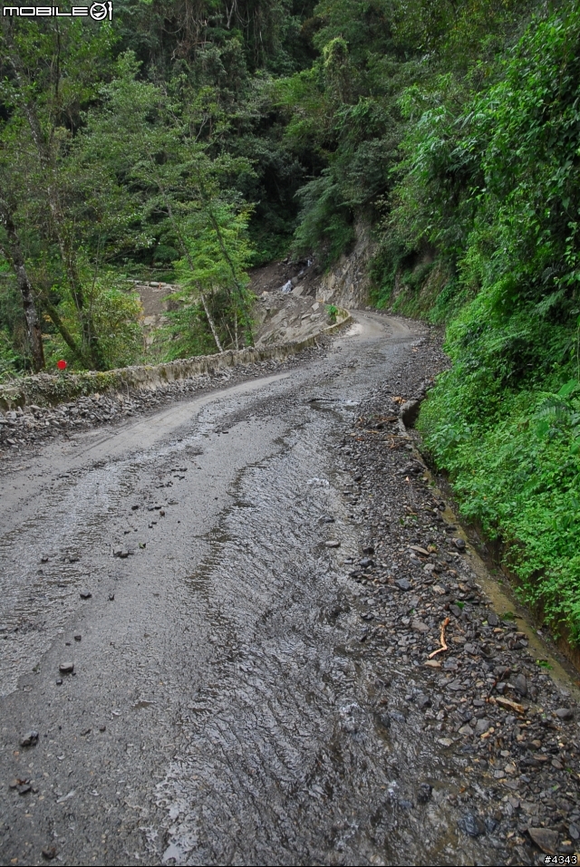 離開都市叢林與柏油路面，來去騎林道吧(三)之大鹿林道主線（往觀霧）單車行