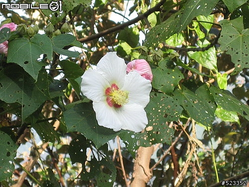 【分享】武界水庫